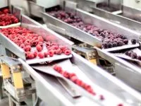 Dosificación de material a granel en línea de producción