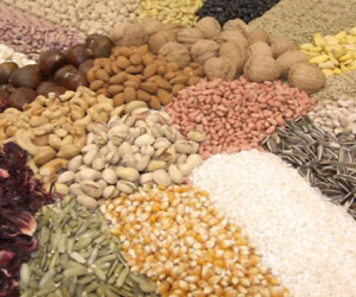 Industria alimenticia: aplicación de alimentadores vibratorios